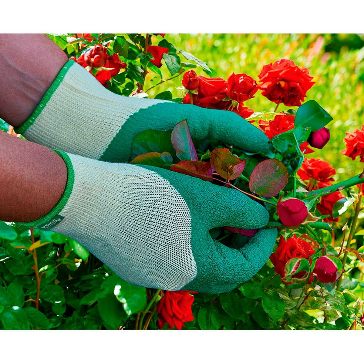 Gardening gloves JUBA Polyester Latex-2